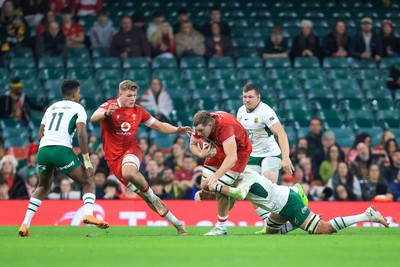291125 - Wales v South Africa - Quilter Nations Series - Ben Carter of Wales 