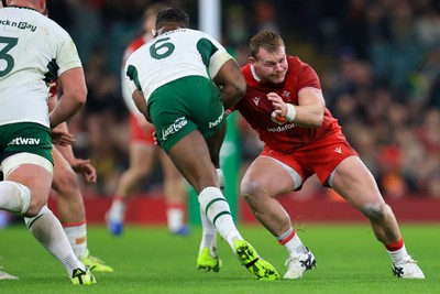 291125 - Wales v South Africa - Quilter Nations Series - Dewi Lake of Wales 