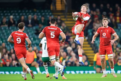 291125 - Wales v South Africa - Quilter Nations Series - Ellis Mee of Wales 