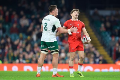 291125 - Wales v South Africa - Quilter Nations Series - Dan Edwards of Wales and Jasper Wiese of South Africa