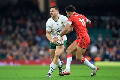 291125 - Wales v South Africa - Quilter Nations Series - Andre Esterhuizen of South Africa