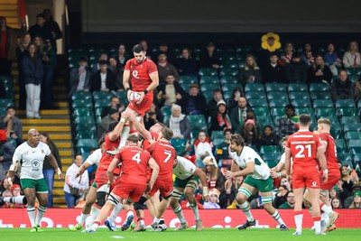 291125 - Wales v South Africa - Quilter Nations Series - Rhys Davies of Wales 