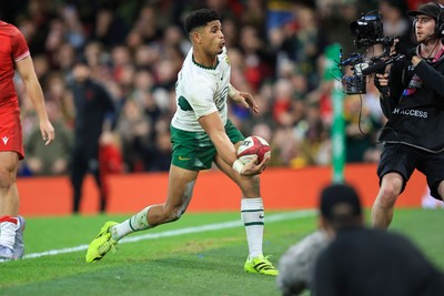 291125 - Wales v South Africa - Quilter Nations Series - Sacha Feinberg-Mngomezulu of South Africa celebrates after scoring
