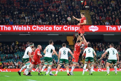 291125 - Wales v South Africa - Quilter Nations Series - Alex Mann of Wales