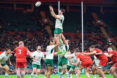291125 - Wales v South Africa - Quilter Nations Series - Ruan Nortje of South Africa