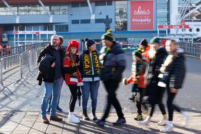 291125 - Wales v South Africa - Quilter Nations Series - Fans before the match