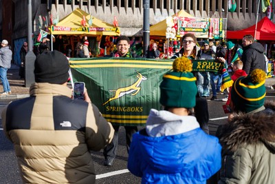 291125 - Wales v South Africa - Quilter Nations Series - Fans before the match