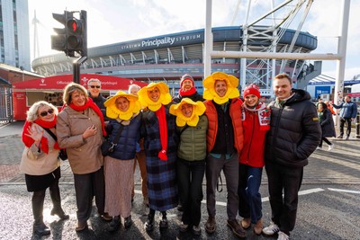 291125 - Wales v South Africa - Quilter Nations Series - Fans before the match