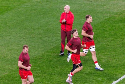 291125 - Wales v South Africa - Quilter Nations Series - Wales head coach Steve Tandy during the warm up