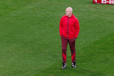 291125 - Wales v South Africa - Quilter Nations Series - Wales head coach Steve Tandy before the match