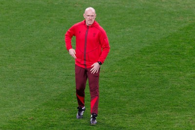 291125 - Wales v South Africa - Quilter Nations Series - Wales head coach Steve Tandy before the match