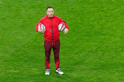 291125 - Wales v South Africa - Quilter Nations Series - Wales head coach Steve Tandy during the warm up