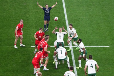 291125 - Wales v South Africa - Quilter Nations Series - Franco Mostert of South Africa goes up for a lineout