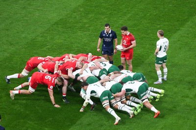 291125 - Wales v South Africa - Quilter Nations Series - Kieran Hardy of Wales prepares to put the ball into scrum