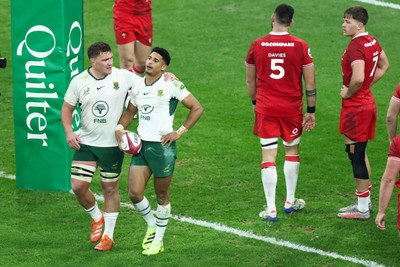 291125 - Wales v South Africa - Quilter Nations Series - Sacha Feinberg-Mngomezulu of South Africa is congratulated by teammates after scoring a try