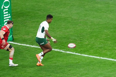 291125 - Wales v South Africa - Quilter Nations Series - Canan Moodie of South Africa goes over for a try