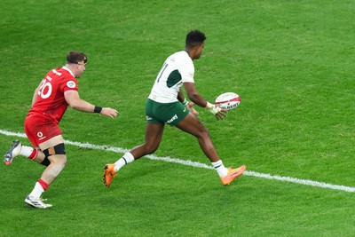 291125 - Wales v South Africa - Quilter Nations Series - Canan Moodie of South Africa goes over for a try