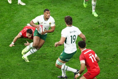 291125 - Wales v South Africa - Quilter Nations Series - Damian Willemse of South Africa looks for a gap