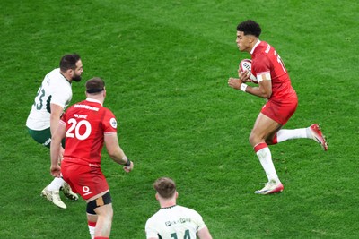 291125 - Wales v South Africa - Quilter Nations Series - Rio Dyer of Wales