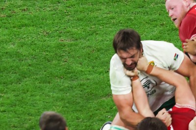 291125 - Wales v South Africa - Quilter Nations Series - Alex Mann of Wales and Eben Etzebeth of South Africa tussle on the floor ahead of the incident that led to Eben Etzebeth being sent off