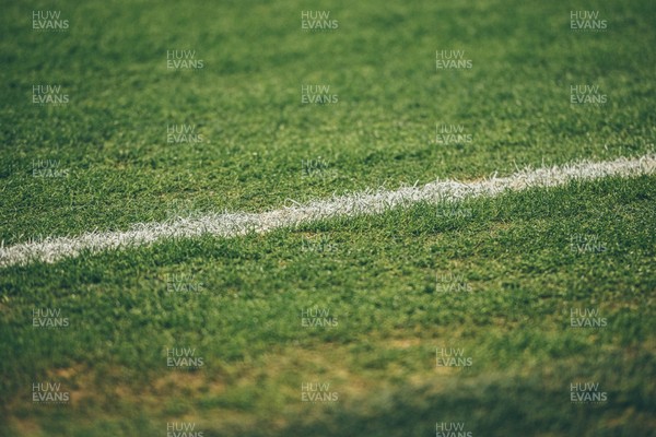 291125 - Wales v South Africa - Quilter Nations Series - General views of Principality Stadium ahead of the game 
