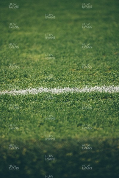 291125 - Wales v South Africa - Quilter Nations Series - General views of Principality Stadium ahead of the game 
