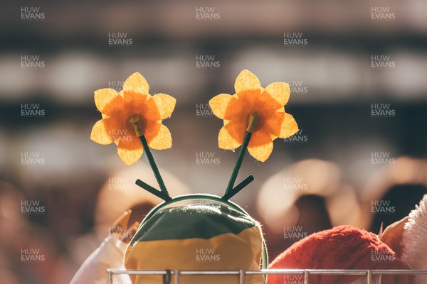 291125 - Wales v South Africa - Quilter Nations Series - Matchday colour in Cardiff City Centre ahead of the game 