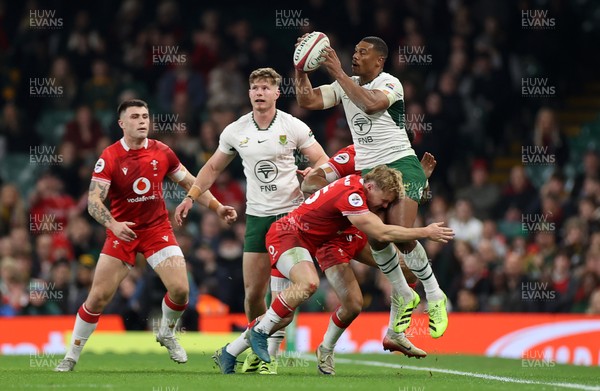 291125 - Wales v South Africa Springboks - Quilter Nations Series - Damian Willemse of South Africa is tackled by Blair Murray of Wales 