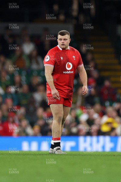 291125 - Wales v South Africa Springboks - Quilter Nations Series - Danny Southworth of Wales on his debut