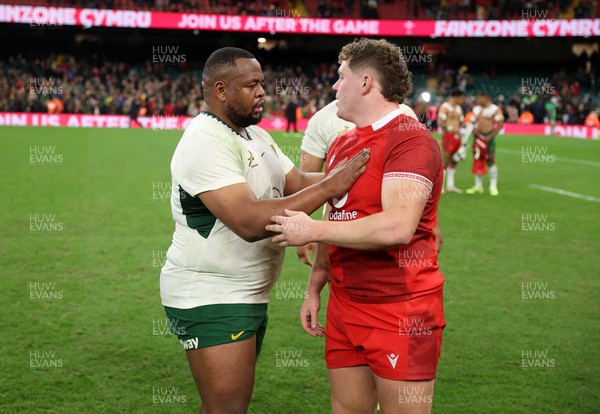 291125 - Wales v South Africa Springboks - Quilter Nations Series - Brodie Coghlan of Wales shakes hands with the opposition at full time
