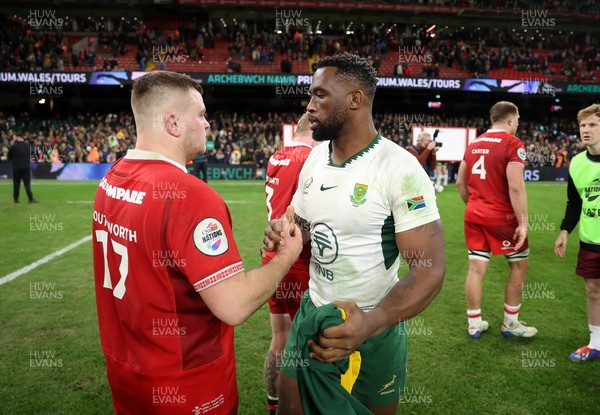 291125 - Wales v South Africa Springboks - Quilter Nations Series - Danny Southworth of Wales and Siya Kolisi of South Africa at full time