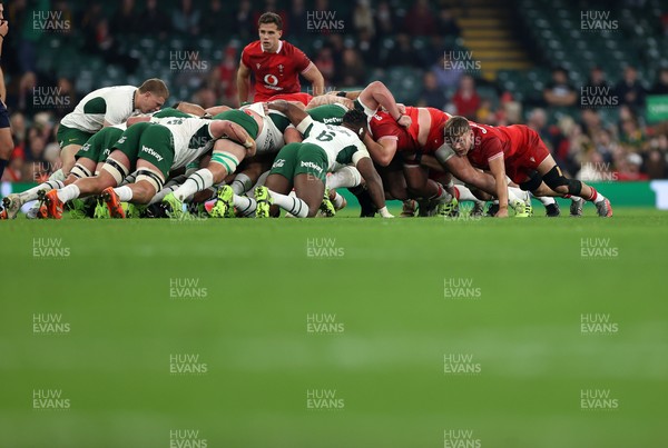 291125 - Wales v South Africa Springboks - Quilter Nations Series - Alex Mann of Wales 