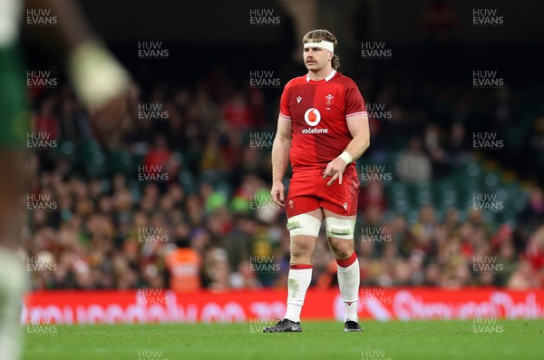 291125 - Wales v South Africa Springboks - Quilter Nations Series - Aaron Wainwright of Wales 