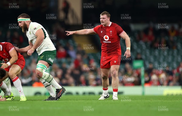 291125 - Wales v South Africa Springboks - Quilter Nations Series - Dewi Lake of Wales 
