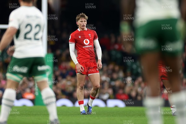 291125 - Wales v South Africa Springboks - Quilter Nations Series - Ellis Mee of Wales 