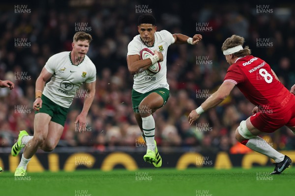 291125 - Wales v South Africa Springboks, Quilter Nations Series - Sacha Feinberg-Mngomezulu of South Africa gets past Aaron Wainwright of Wales