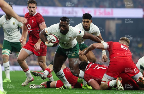 291125 - Wales v South Africa Springboks, Quilter Nations Series - Siya Kolisi of South Africa looks to break away