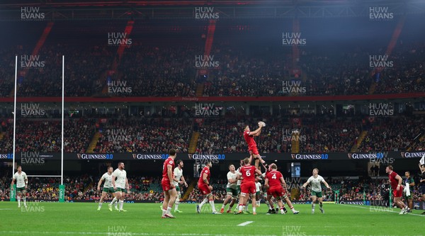 291125 - Wales v South Africa Springboks, Quilter Nations Series - Alex Mann of Wales takes the line out