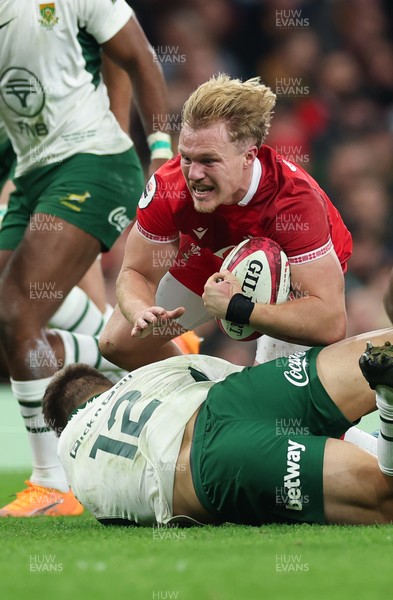 291125 - Wales v South Africa Springboks, Quilter Nations Series - Blair Murray of Wales looks to attack