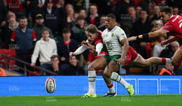 291125 - Wales v South Africa Springboks, Quilter Nations Series - Ellis Mee of Wales looks to score as he battles with Damian Willemse of South Africa