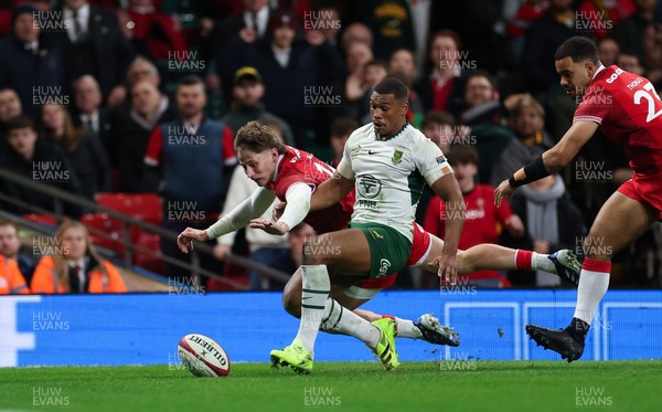291125 - Wales v South Africa Springboks, Quilter Nations Series - Ellis Mee of Wales looks to score as he battles with Damian Willemse of South Africa