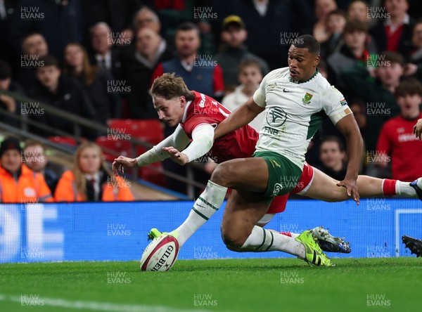 291125 - Wales v South Africa Springboks, Quilter Nations Series - Ellis Mee of Wales looks to score as he battles with Damian Willemse of South Africa
