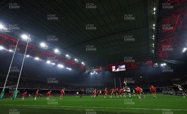 291125 - Wales v South Africa Springboks, Quilter Nations Series - South Africa win a line out