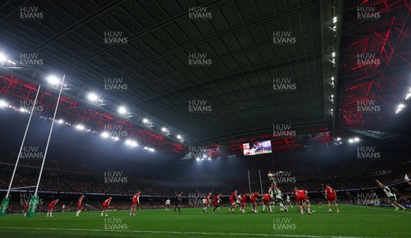 291125 - Wales v South Africa Springboks, Quilter Nations Series - South Africa win a line out