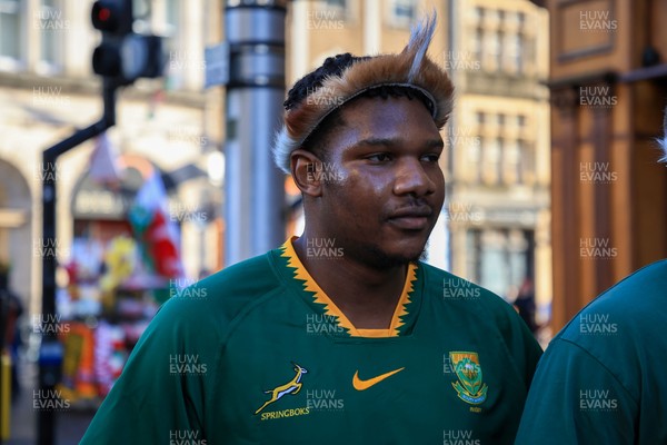 291125 - Wales v South Africa - Quilter Nations Series - South Africa fans before game