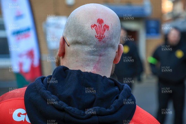 291125 - Wales v South Africa - Quilter Nations Series - Wales fans before game 