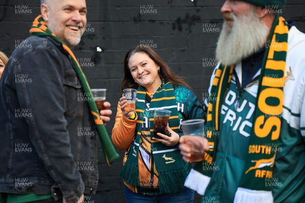 291125 - Wales v South Africa - Quilter Nations Series - South Africa fans before game in fan zone