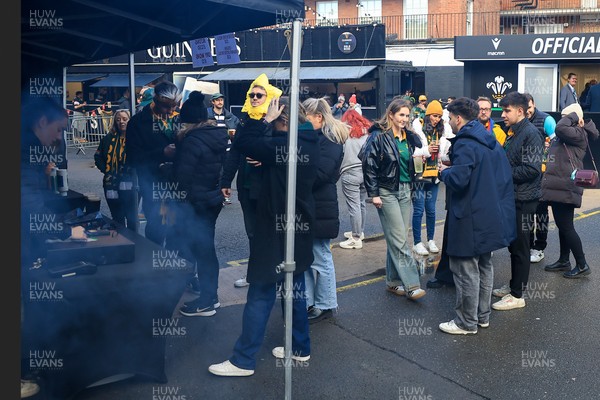 291125 - Wales v South Africa - Quilter Nations Series - South Africa fans before game