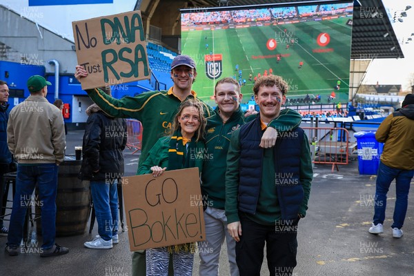291125 - Wales v South Africa - Quilter Nations Series - South Africa fans before game in fan zone 