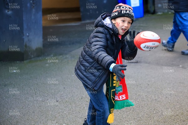 291125 - Wales v South Africa - Quilter Nations Series - Young Wales fan in fan zone 